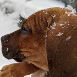 Meet your Posher, Laurence